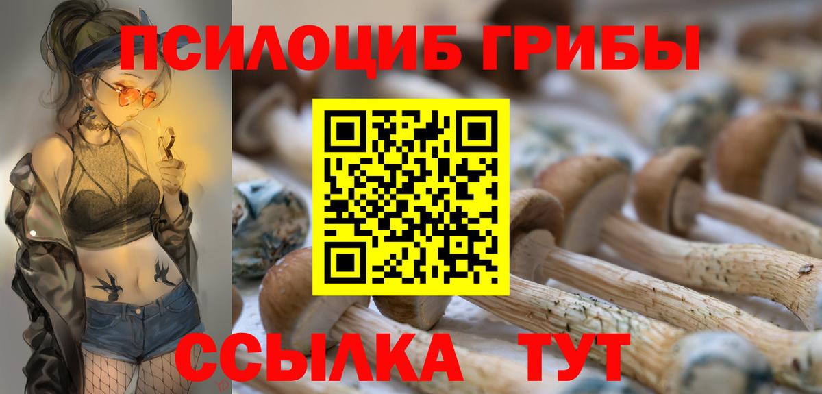 Псилоцибиновые грибы Magic Shrooms  Вход с VPN  Сухой Лог  Галлюциногенные грибы Psilocybine cubensis 